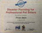 Disaster Planning Certification